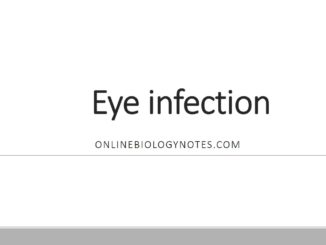 眼部感染:类型、病原体、临床症状和诊断