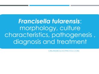 土拉弗朗西斯菌的形态、培养特征、发病机制、诊断和治疗