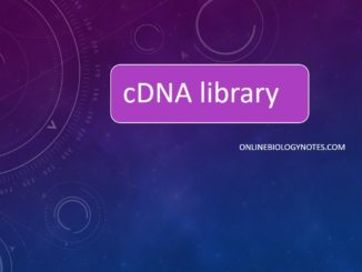 cDNA文库:cDNA文库构建过程及优缺点